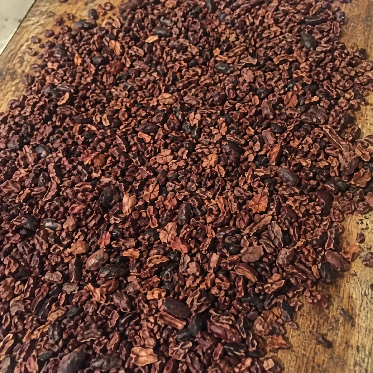 Nibs de cacao de la familia Hernández durante su elaboración